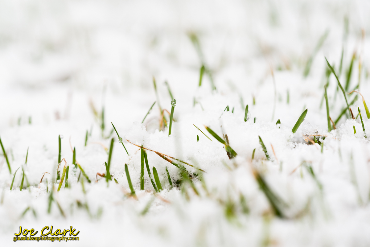 Snow in the grass spring Joe Clark Photographer