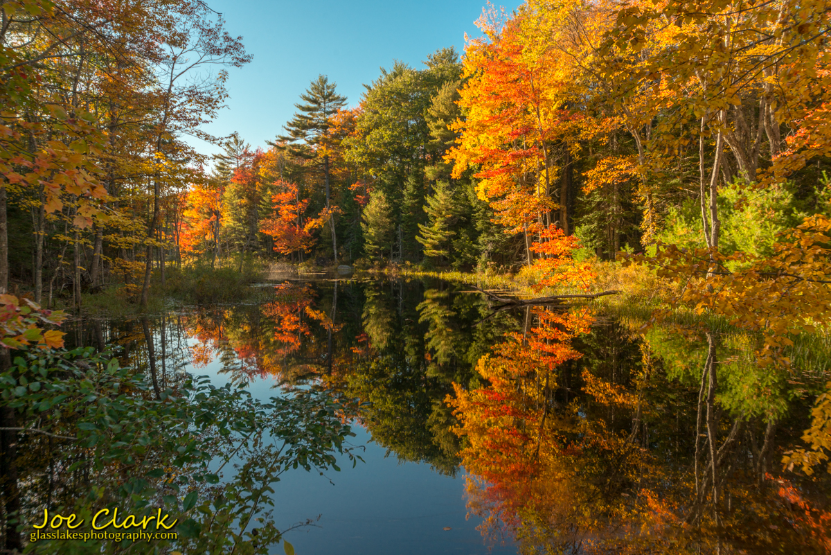 Fall colors in Maine near Boothbay by michigan photographer Joe Clark