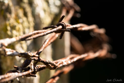 Barbed Wire 1 by Joe Clark