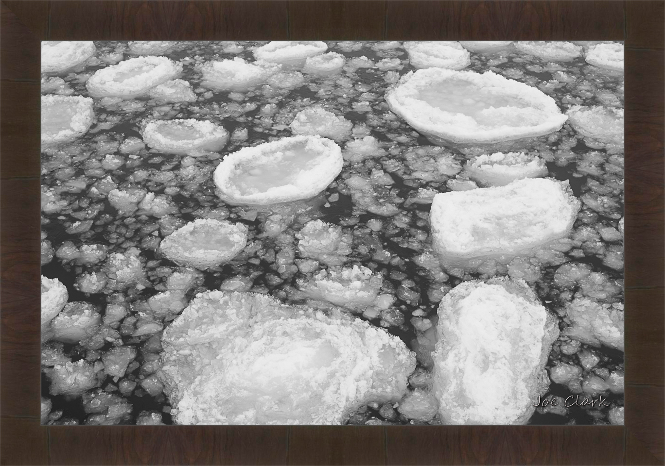 Ice Field 2 by Joe Clark R60545
