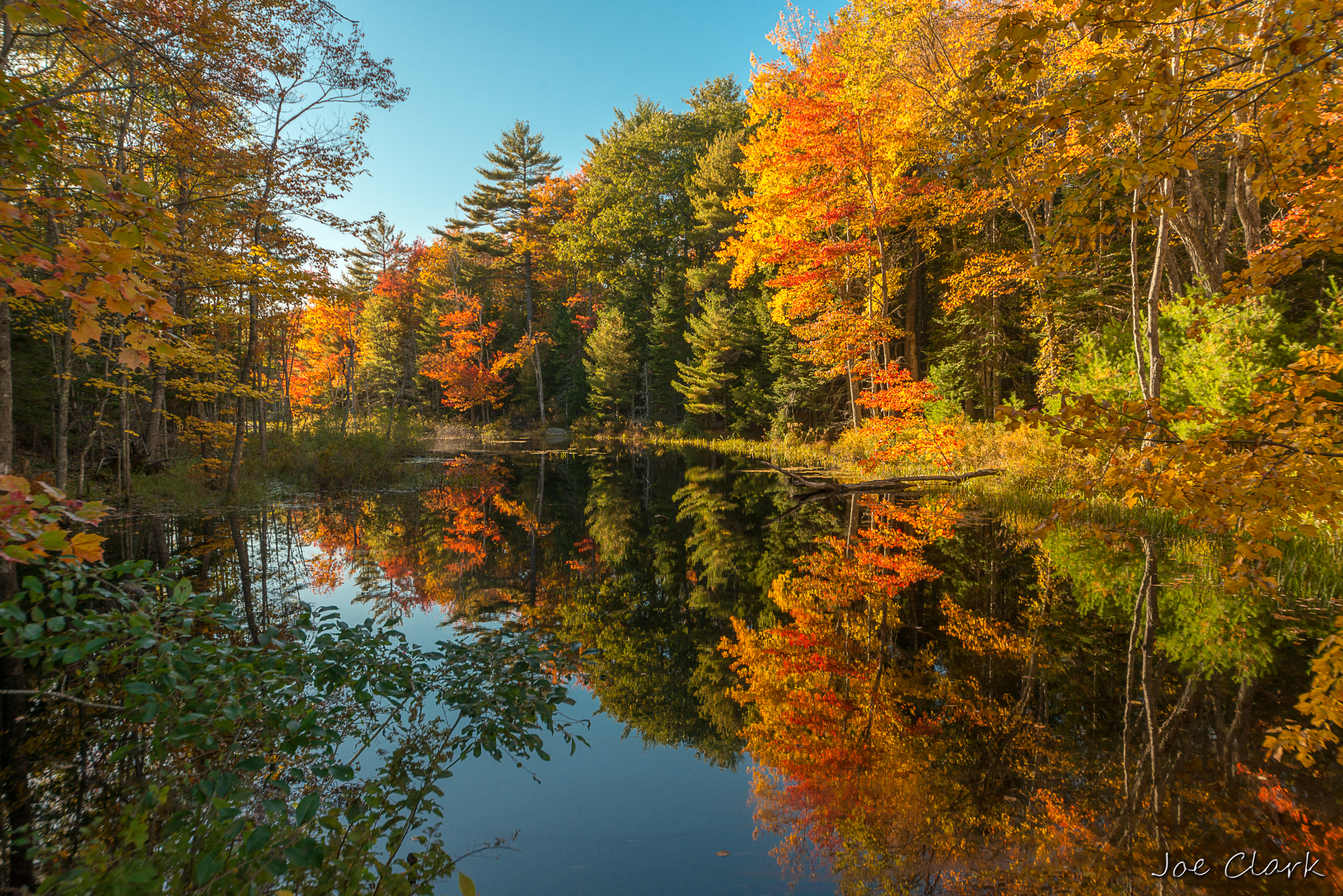 Fall in Maine 2 by Joe Clark American landscape Photographer
