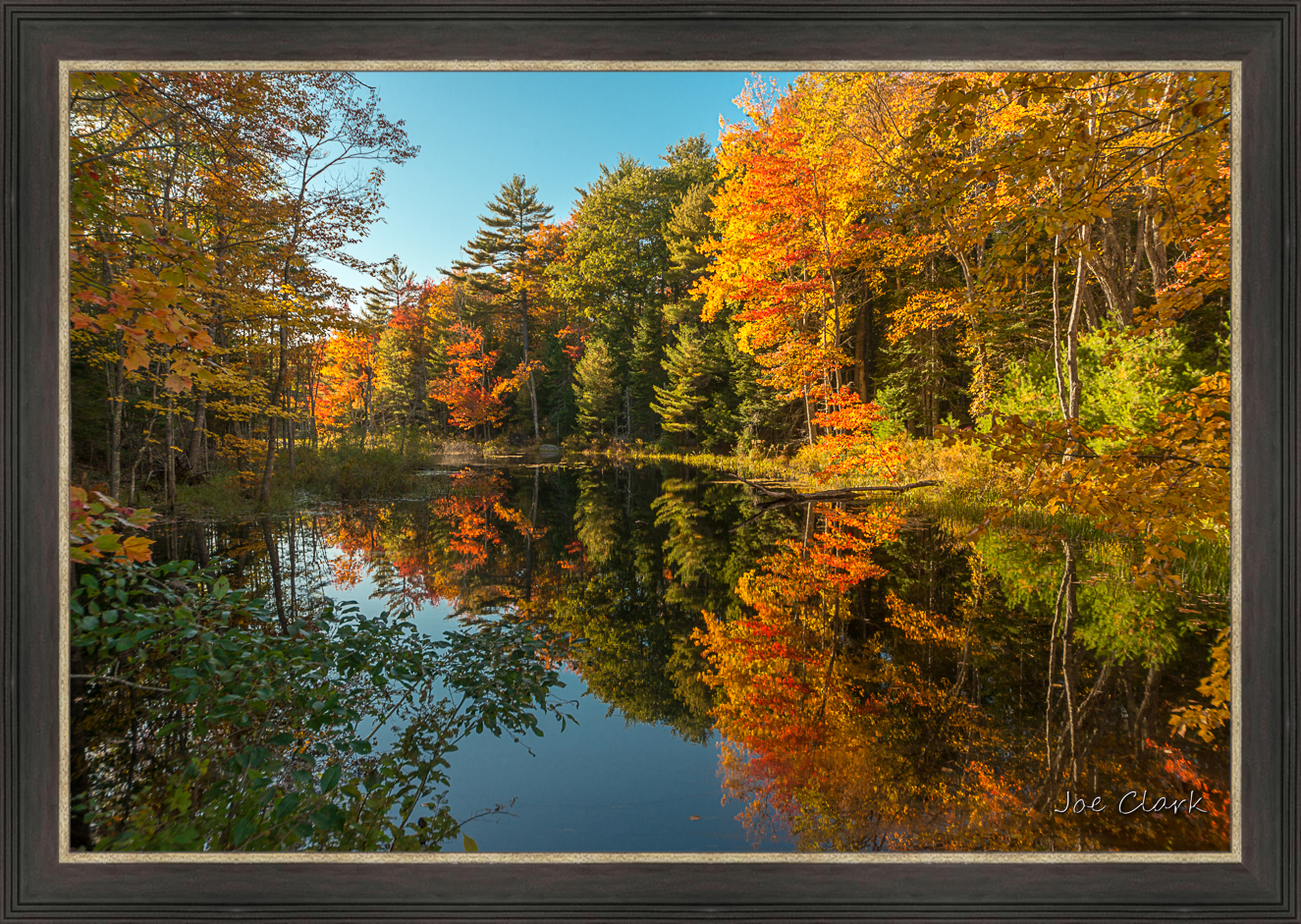 Fall in Maine 2 by Joe Clark L638120L638120