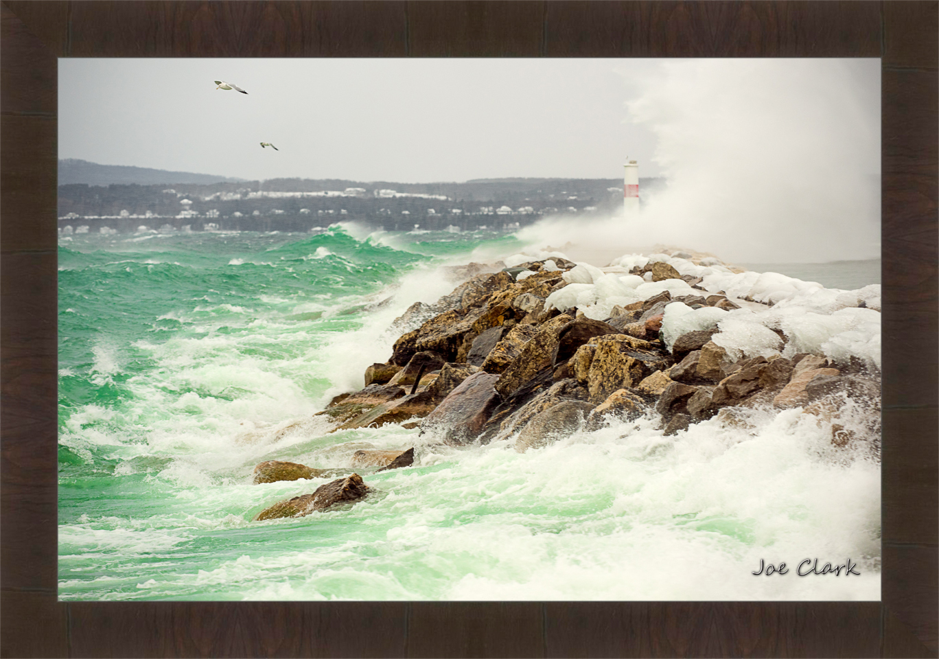 Gull Storm by Joe Clark R60545