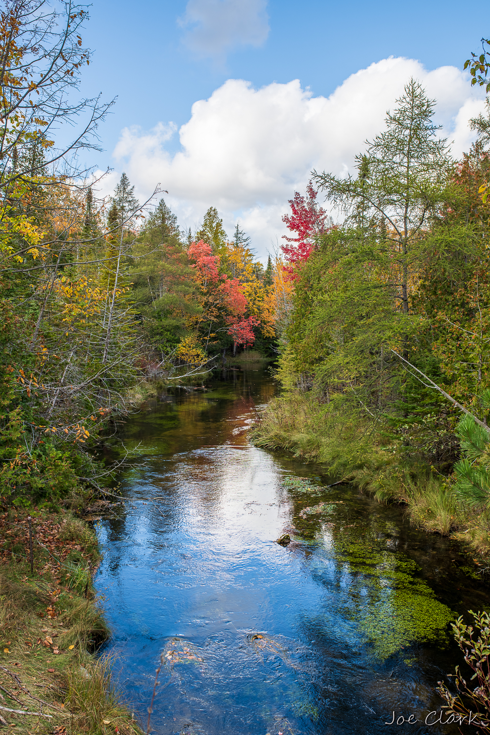 Horton Creek in Fall 2 by Joe Clark American landscape Photographer