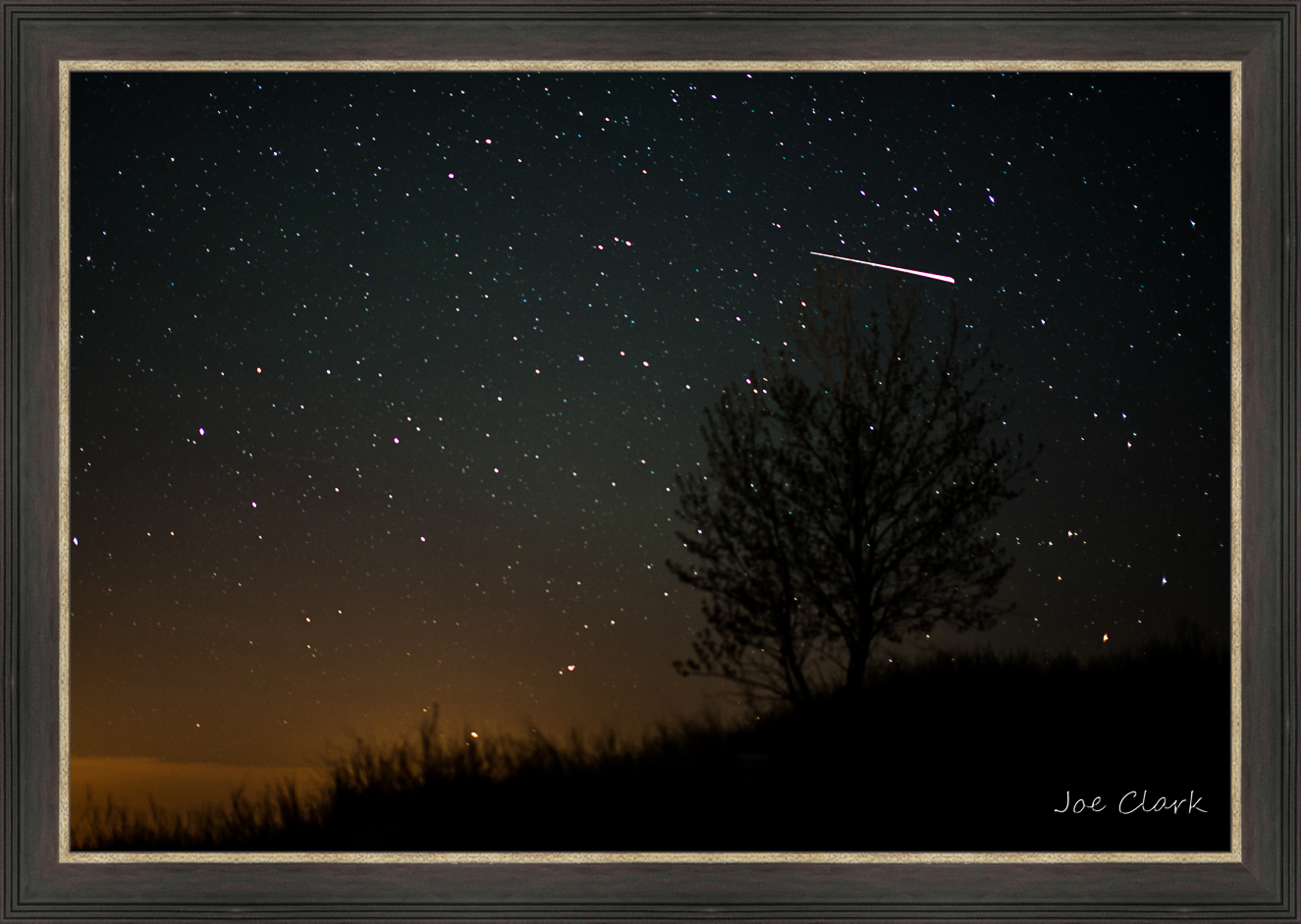 Meteor Tree by Joe Clark L638120
