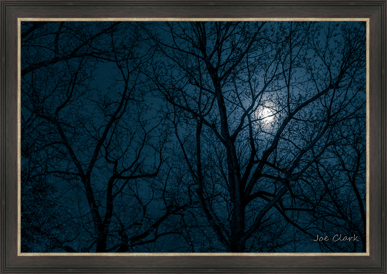 Moon Shadow by Joe Clark L638120