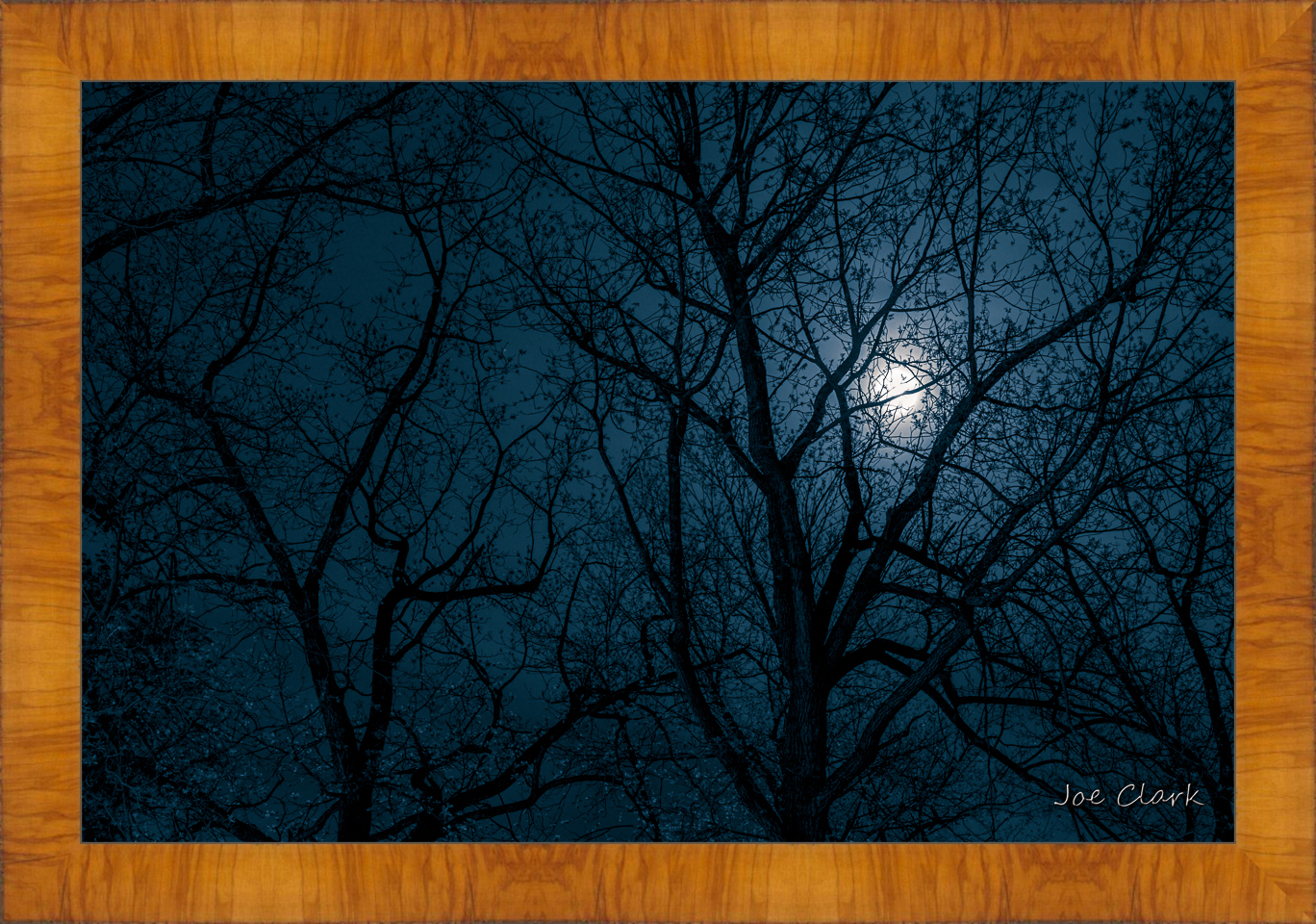 Moon Shadow by Joe Clark R60583
