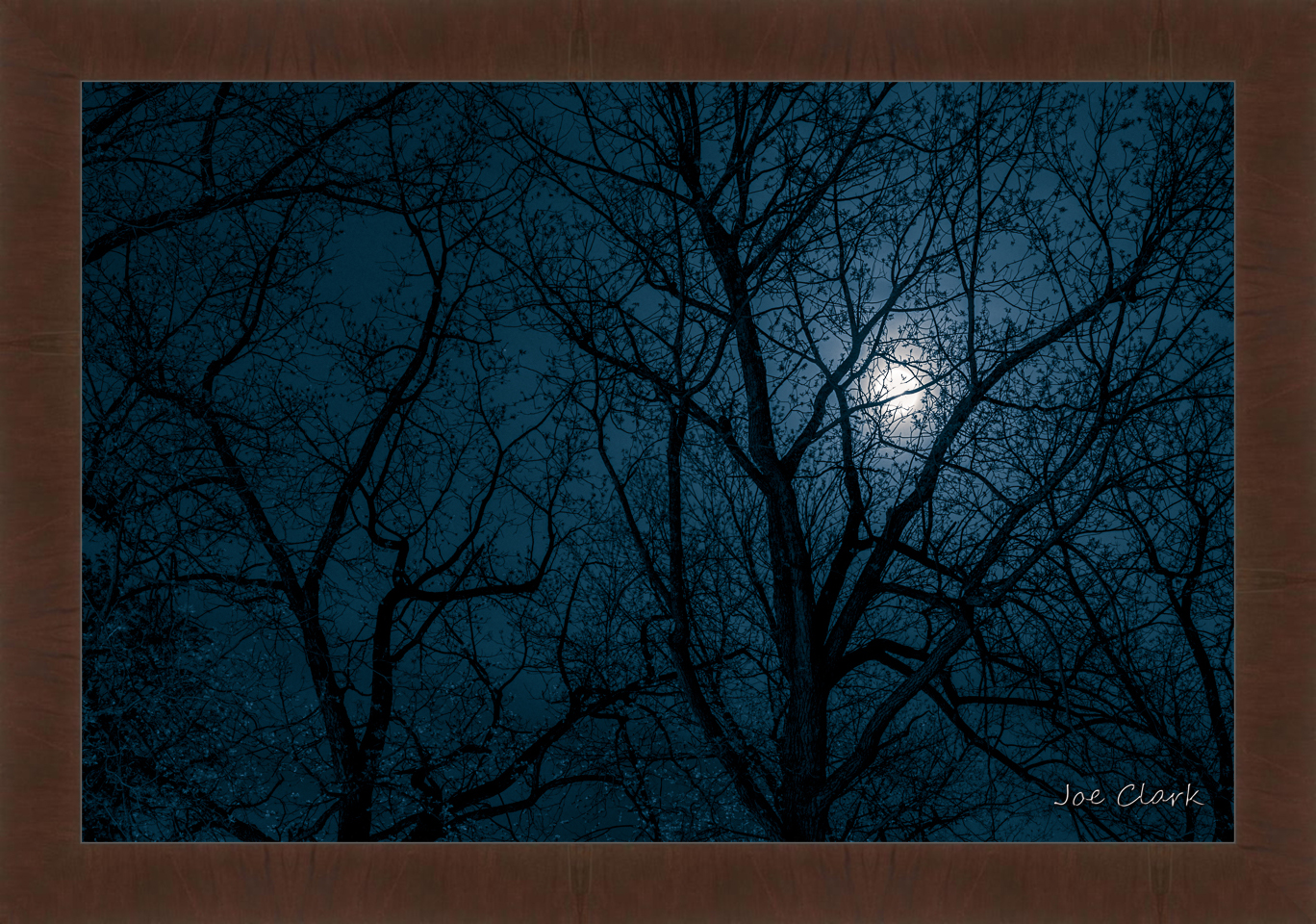 Moon Shadow by Joe Clark R60587