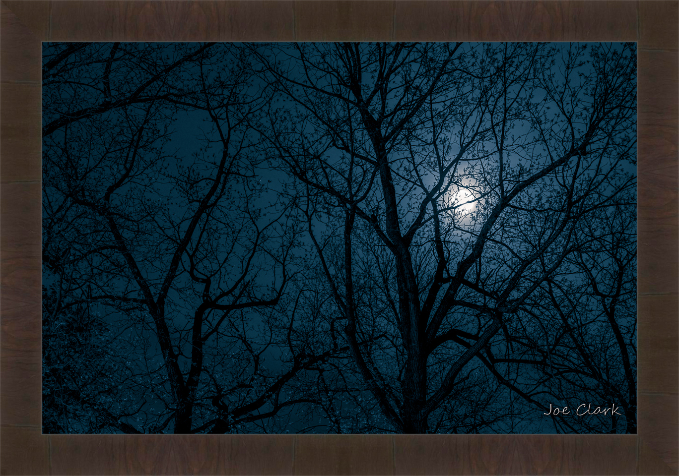 Moon Shadow by Joe Clark R60545