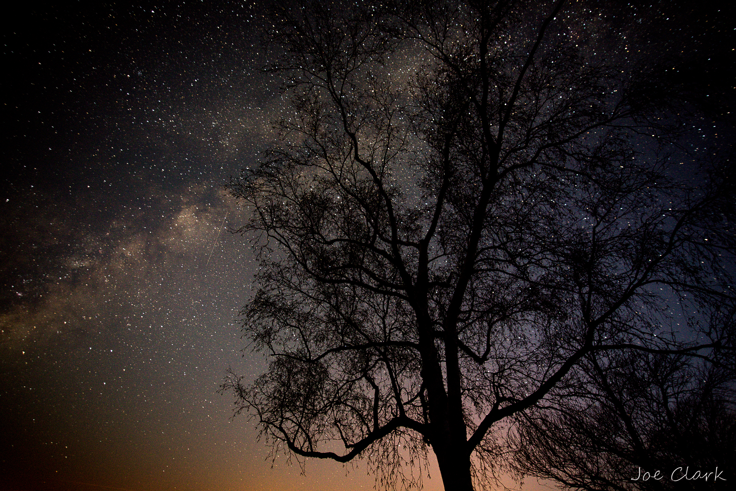 Tree of LIfe by Joe Clark American landscape Photographer